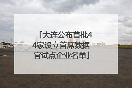 大连公布首批44家设立首席数据官试点企业名单