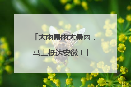 大雨暴雨大暴雨，马上抵达安徽！