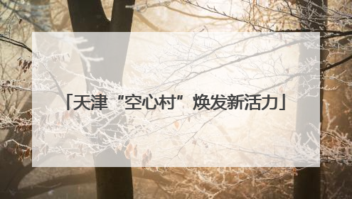 天津“空心村”焕发新活力