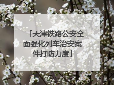 天津铁路公安全面强化列车治安案件打防力度