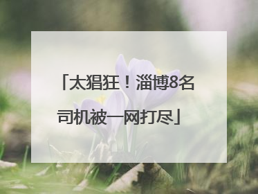 太猖狂！淄博8名司机被一网打尽