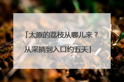 太原的荔枝从哪儿来？从采摘到入口约五天