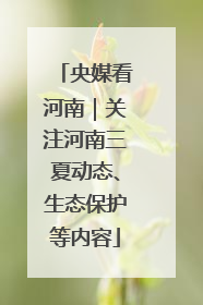 央媒看河南｜关注河南三夏动态、生态保护等内容