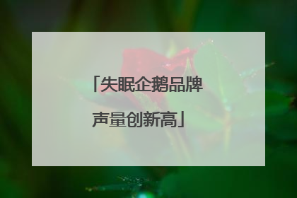 失眠企鹅品牌声量创新高