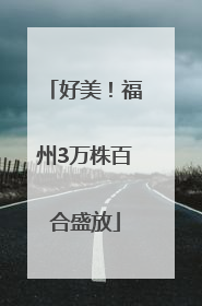 好美！福州3万株百合盛放