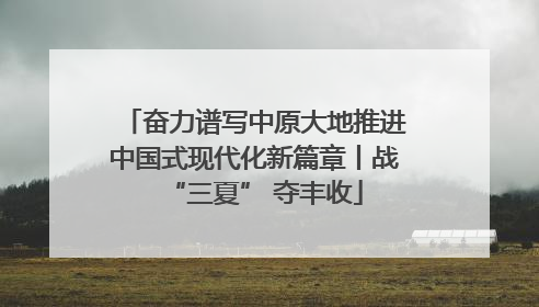 奋力谱写中原大地推进中国式现代化新篇章丨战“三夏” 夺丰收