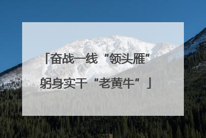 奋战一线“领头雁” 躬身实干“老黄牛”