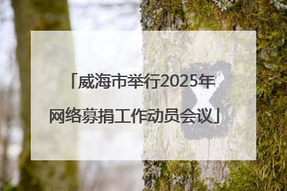 威海市举行2025年网络募捐工作动员会议