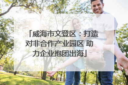 威海市文登区：打造对非合作产业园区 助力企业抱团出海