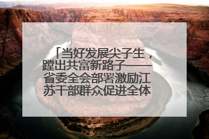 当好发展尖子生，蹚出共富新路子——省委全会部署激励江苏干部群众促进全体人民共同富裕