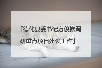 德化县委书记方俊钦调研重点项目建设工作