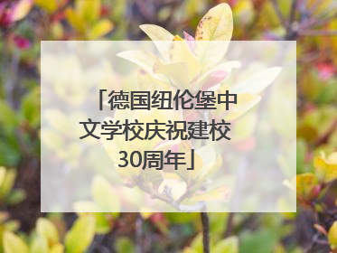 德国纽伦堡中文学校庆祝建校30周年