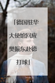 德国驻华大使馆回应樊振东赴德打球
