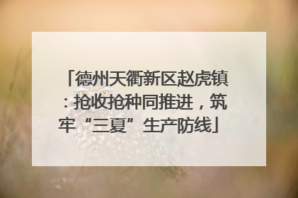 德州天衢新区赵虎镇：抢收抢种同推进，筑牢“三夏”生产防线