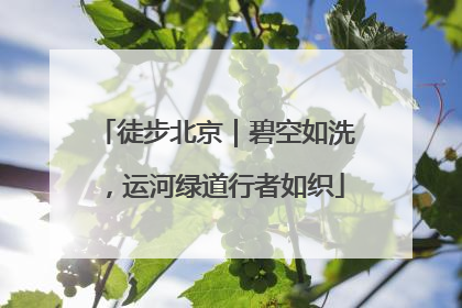 徒步北京｜碧空如洗，运河绿道行者如织