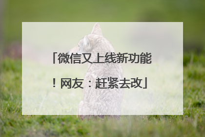 微信又上线新功能！网友：赶紧去改