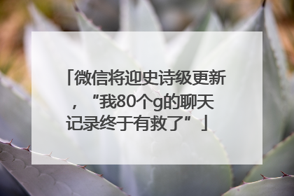 微信将迎史诗级更新，“我80个g的聊天记录终于有救了”