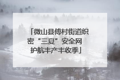 微山县傅村街道织密“三夏”安全网 护航丰产丰收季