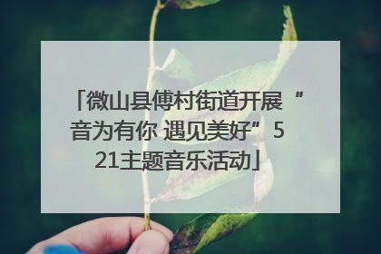 微山县傅村街道开展“音为有你 遇见美好”521主题音乐活动