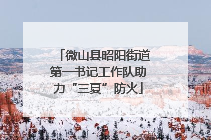 微山县昭阳街道第一书记工作队助力“三夏”防火