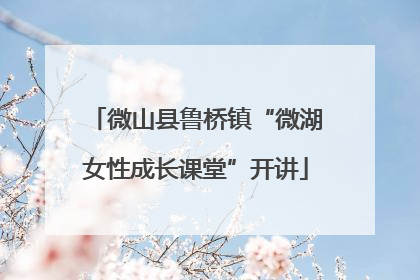微山县鲁桥镇“微湖女性成长课堂”开讲