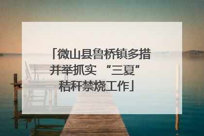 微山县鲁桥镇多措并举抓实 “三夏” 秸秆禁烧工作
