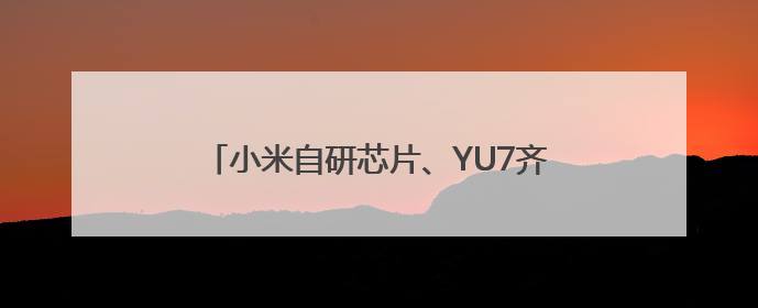 小米自研芯片、YU7齐发布！相关话题霸占热搜榜，雷军一夜涨粉超20万