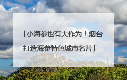 小海参也有大作为！烟台打造海参特色城市名片