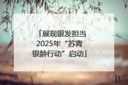 展现银发担当 2025年“苏青银龄行动”启动