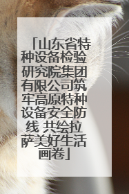 山东省特种设备检验研究院集团有限公司筑牢高原特种设备安全防线 共绘拉萨美好生活画卷