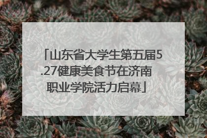 山东省大学生第五届5.27健康美食节在济南职业学院活力启幕