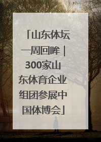 山东体坛一周回眸｜300家山东体育企业组团参展中国体博会