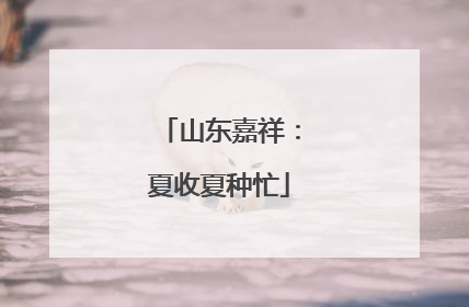 山东嘉祥：夏收夏种忙