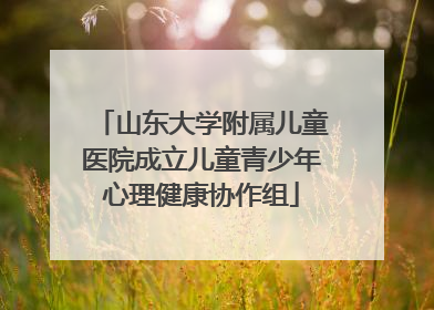 山东大学附属儿童医院成立儿童青少年心理健康协作组