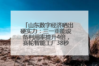 山东数字经济晒出硬实力：三一重能设备利用率提升4倍，赛轮智能工厂38秒生产一条轮胎