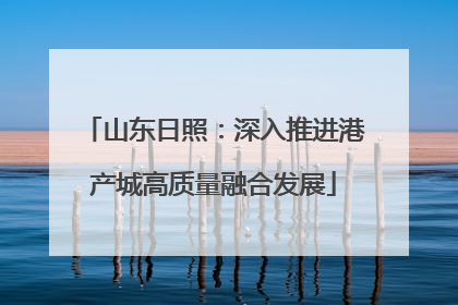 山东日照：深入推进港产城高质量融合发展
