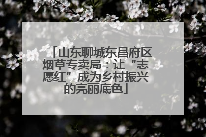 山东聊城东昌府区烟草专卖局：让“志愿红”成为乡村振兴的亮丽底色