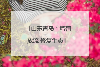 山东青岛：增殖放流 修复生态