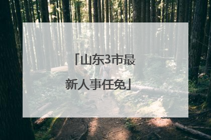 山东3市最新人事任免