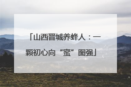 山西晋城养蜂人：一颗初心向“蜜”图强