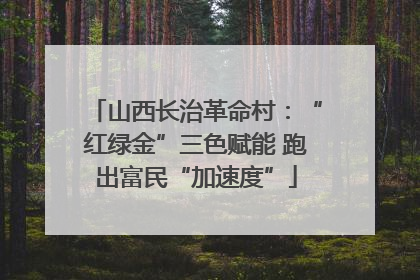 山西长治革命村：“红绿金”三色赋能 跑出富民“加速度”