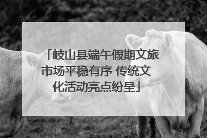 岐山县端午假期文旅市场平稳有序 传统文化活动亮点纷呈