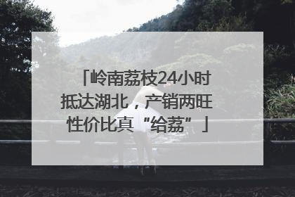 岭南荔枝24小时抵达湖北，产销两旺性价比真“给荔”