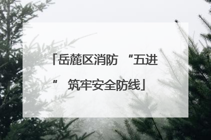 岳麓区消防 “五进” 筑牢安全防线