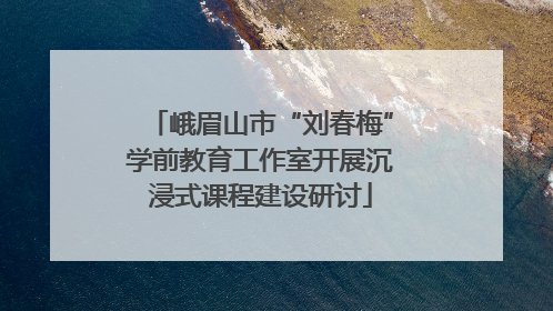 峨眉山市“刘春梅”学前教育工作室开展沉浸式课程建设研讨