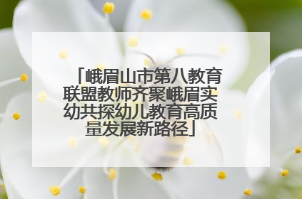 峨眉山市第八教育联盟教师齐聚峨眉实幼共探幼儿教育高质量发展新路径