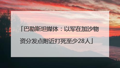 巴勒斯坦媒体：以军在加沙物资分发点附近打死至少28人