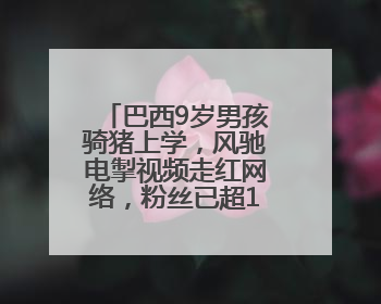 巴西9岁男孩骑猪上学，风驰电掣视频走红网络，粉丝已超125万