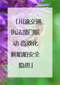 川渝交通执法部门联动 高效化解船舶安全隐患