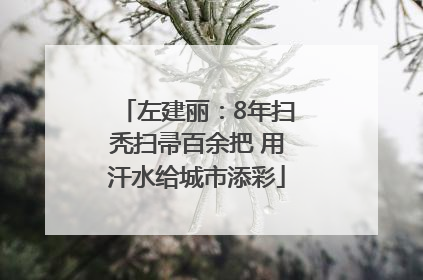 左建丽：8年扫秃扫帚百余把 用汗水给城市添彩
